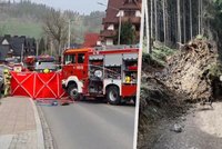 V polských Tatrách zabíjel vichr: Na ženu (†23) spadl strom, národní park uzavřel stezky