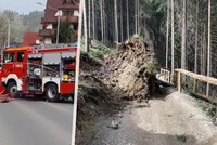 V polských Tatrách zabíjel vichr: Na ženu (†23) spadl strom, národní park uzavřel stezky