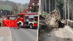 Silný vichr na jihu Polska zabíjel.