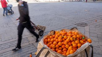 Elektřina z pomerančů. Sevilla bude ze spadaných citrusů vyrábět energii