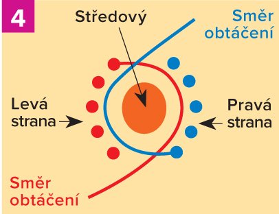 Tělo tataru rozdělte na 5 pravých a 5 levých prutů.