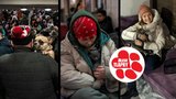 Na válkou zmítané Ukrajině umírají i zvířata. Takhle jim můžete pomoci