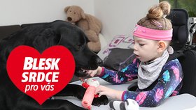 Postižené Denisce (4) asistuje Toby z Pomocných tlapek! Podává hračky, dává energii