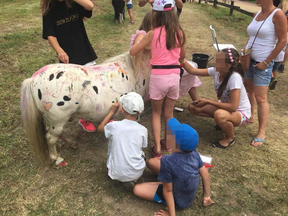 Na stejném festivalu děti malovaly po živém poníkovi.