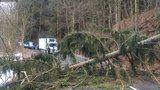 Jižní Morava: Vichr vyvrací stromy, hasiči zasahují na silnicích! Na to nejhorší se ještě čeká!