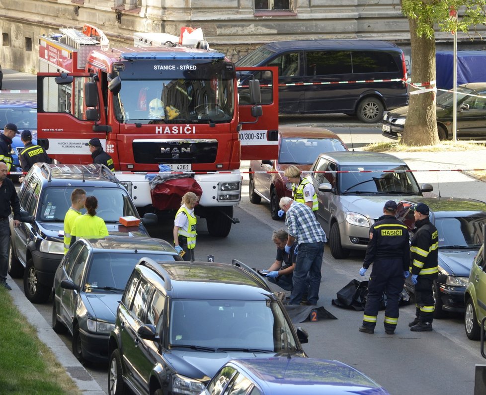 Popelářský vůz srazil a usmrtil ženu.