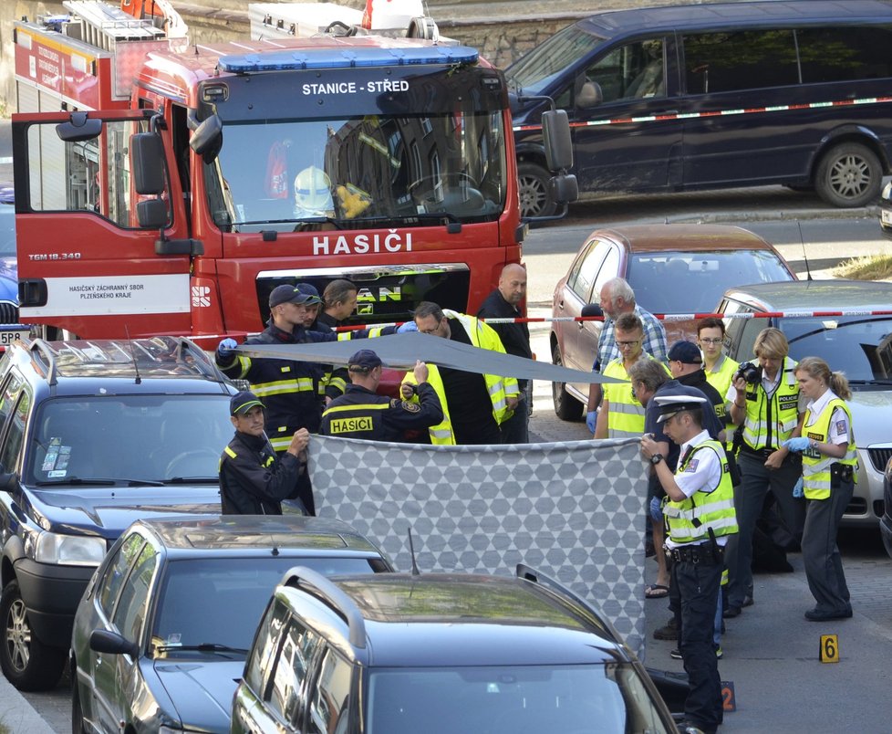 Popelářský vůz srazil a usmrtil paní Vlastu (†66) před domem, ve kterém pečovala o invalidní sestru.