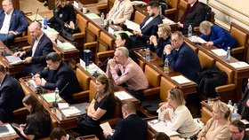 Jednání sněmovního mediálního výboru mimořádně v jednacím sále dolní komory. (29.10.2026)