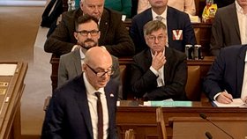 Šéf ČT Chudárek a ministr kultury Klempíř na jednání sněmovního mediálního výboru mimořádně v jednacím sále dolní komory. (29.10.2026)