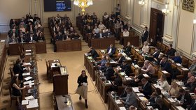 Jednání sněmovního mediálního výboru mimořádně v jednacím sále dolní komory. (29.10.2026)