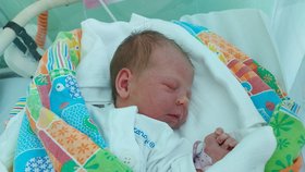 Michaleka přišla na svět před nemocnicí v Třinci. Statečné mamince Monice pomáhla tatínek Štěpán.