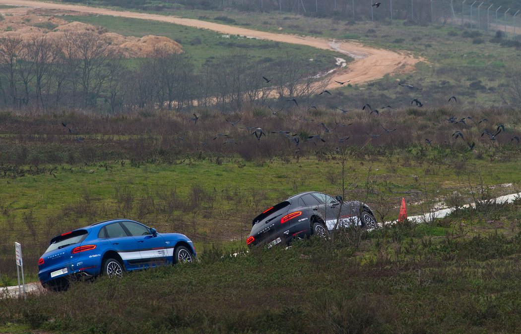 Porsche Driving Academy