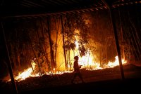 Portugalsko bojuje s požáry: Způsobilo je extrémní vedro