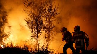 Zákaz vstupu do lesů, zákaz rozdělávání ohně. V Česku platí výstraha před požáry. Podívejte se kde