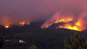 Přes tisíc hasičů už bojuje s rozsáhlými lesními požáry, které v sobotu vypukly ve středním Portugalsku.