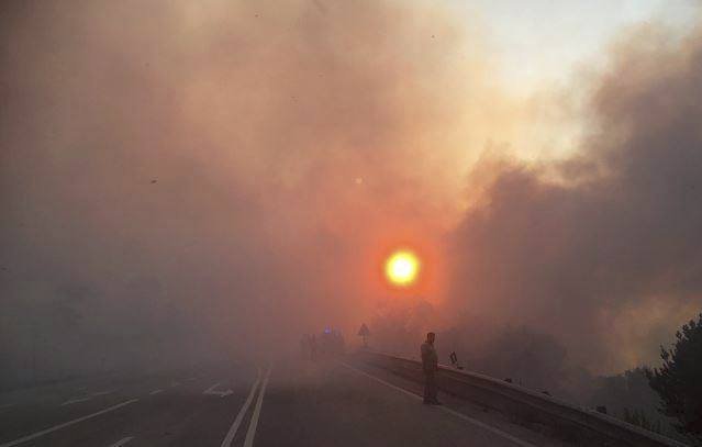 Přes tisíc hasičů už bojuje s rozsáhlými lesními požáry, které v sobotu vypukly ve středním Portugalsku.