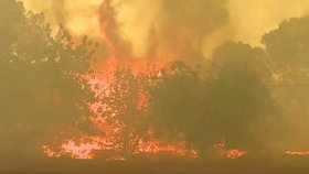 Tragické požáry v Portugalsku (13.7.2022)