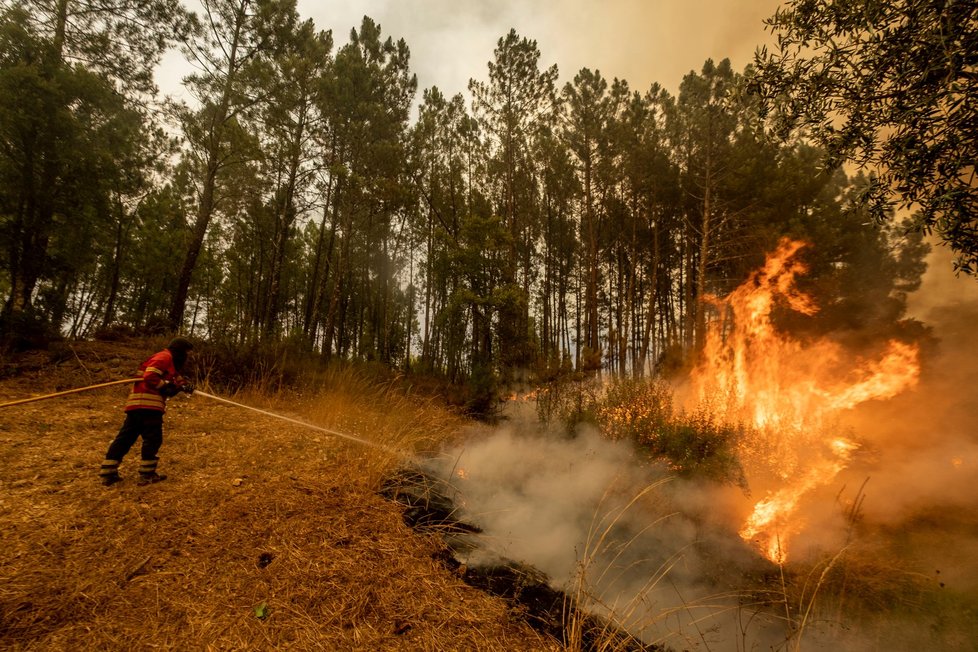 Požár ve středním Portugalsku (23. 7. 2019)