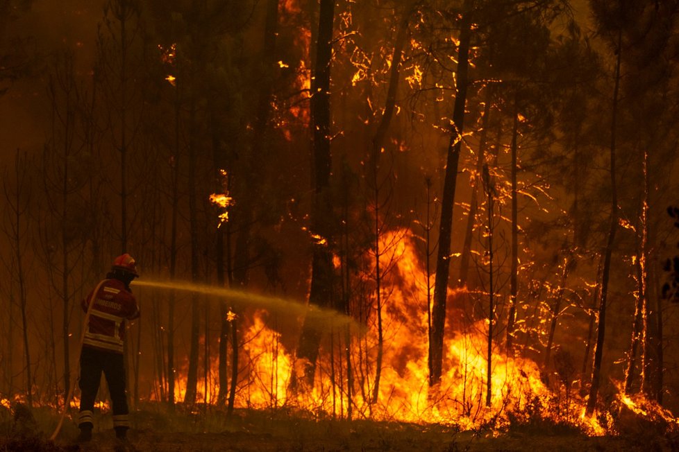 Požár ve středním Portugalsku (23. 7. 2019)