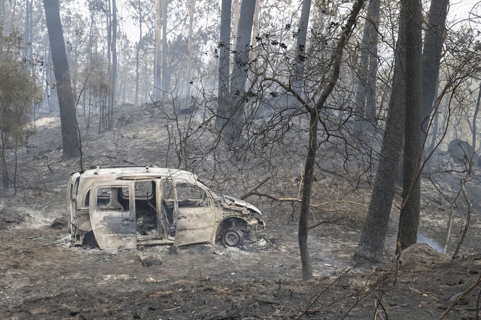 Portugalská ministryně vnitra Constanca Urbanová de Sousaová ve středu rezignovala na svou funkci poté, co při nedělní a pondělní vlně lesních požárů zemřelo 41 osob a 71 bylo raněno.