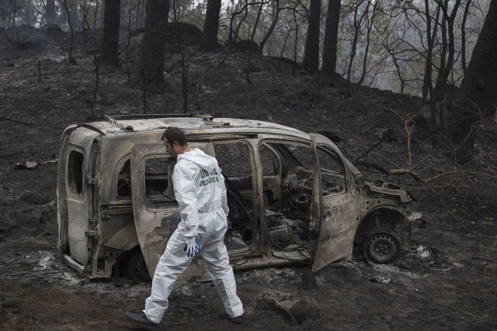 V neděli a pondělí v důsledku stovek požárů v centrálních a severních částech země zahynulo nejméně 45 osob.