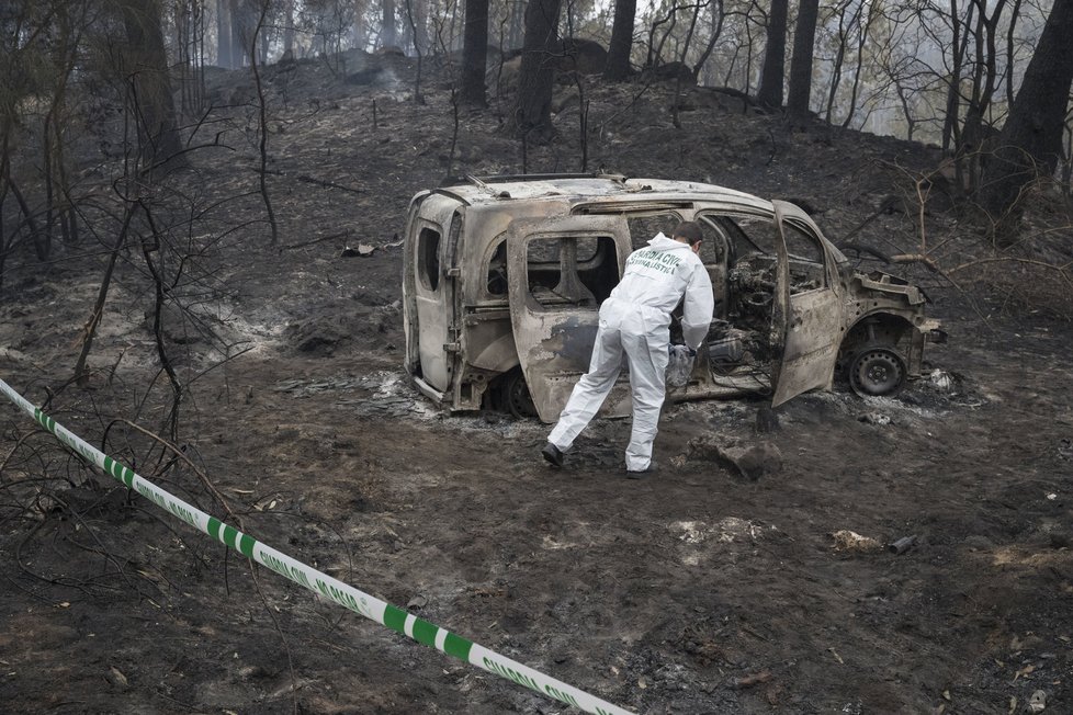 Portugalská ministryně vnitra Constanca Urbanová de Sousaová ve středu rezignovala na svou funkci poté, co při nedělní a pondělní vlně lesních požárů zemřelo 41 osob a 71 bylo raněno.