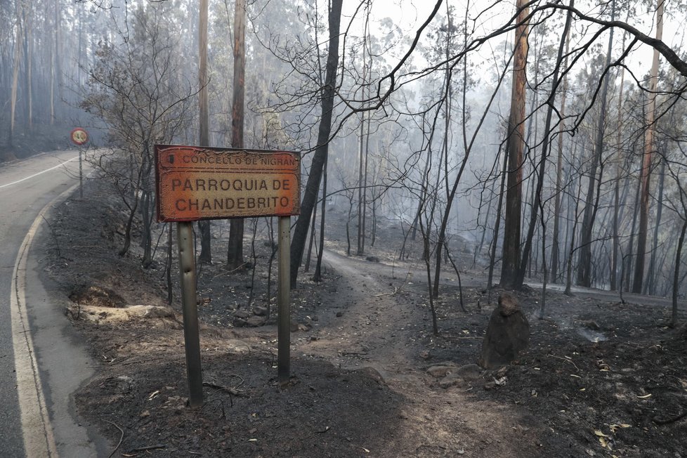 V neděli a pondělí v důsledku stovek požárů v centrálních a severních částech země zahynulo nejméně 45 osob.