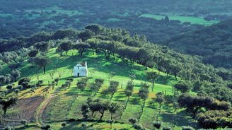 Duben v Alenteju: Jarní toulky portugalským regionem v nejkrásnějším a nejpestřejším období v roce