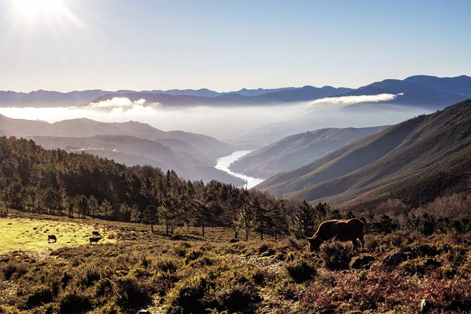 Peneda-Gerês Peneda-Gerês