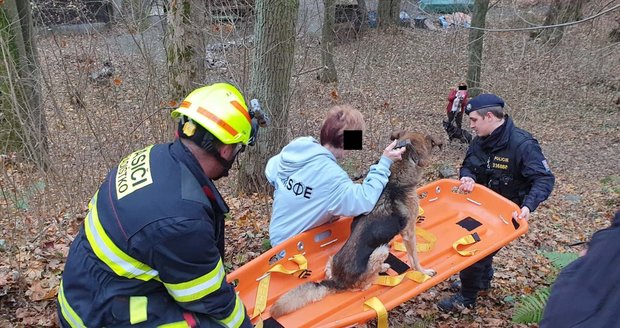 U Posázavské stezky zemřel chatař: Jeho pejsky museli vysvobodit hasiči