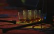 Podle údaje deset let starého se ale ve Sněmovně ročně vypije alkohol zhruba za tři miliony korun!