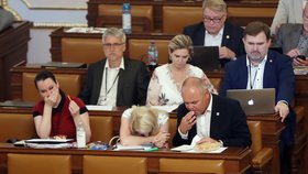 Projednávání konsolidačního balíčku za minulého volebního období