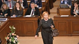 Schillerová v rozpočtu postrádá už 80 miliard. Nově jí chybí na ministerstvech práce a zemědělství Schillerová v rozpočtu postrádá už 80 miliard. Nově jí chybí na ministerstvech práce a zemědělství