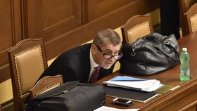 Andrej Babiš před hlasováním o důvěře menšinové vládě