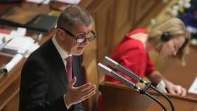 Andrej Babiš při projevu ve Sněmovně před hlasování o důvěru menšinové vládě