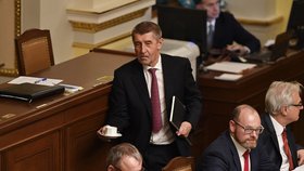 Schůze před hlasováním o důvěře vládě: Andrej Babiš se vrací na své premiérské místo ve Sněmovně.