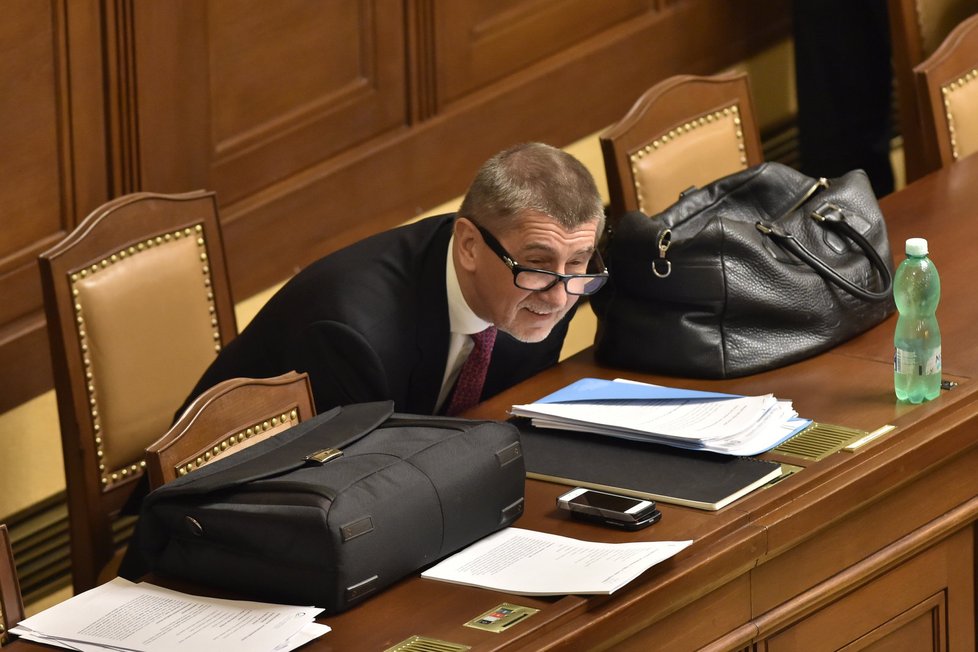 Andrej Babiš před hlasováním o důvěře menšinové vládě