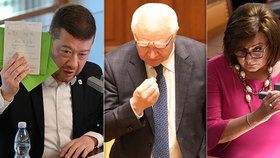 Okamura ve Sněmovně sklidil posměch, Faltýnka štvaly obstrukce, Schillerová schytala poznámku na růžové šaty.