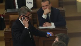 Ustavující schůze Sněmovny: Andrej Babiš