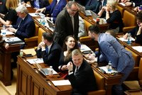 „Chudák naprostej.“ Poslance ve Sněmovně přesadili, Macinka a Turek šili do Pirátů