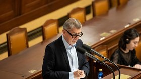 Schůze Poslanecké sněmovny - Andrej Babiš (ANO) (11. 10. 2023)