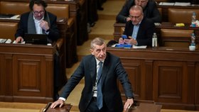 Jednání Poslanecké sněmovny o korespondenční volbě: Andrej Babiš (ANO). (17.1.2023)