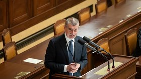 Jednání Poslanecké sněmovny o korespondenční volbě: Andrej Babiš (ANO). (17.1.2023)