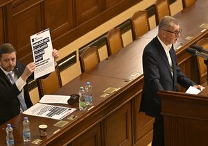 Mimořádná schůze Sněmovny k migračnímu paktu: Andrej Babiš a Vít Rakušan.