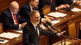 Volba šéfa Sněmovny: Petr Fiala (5.11.2025)