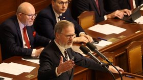 Volba šéfa Sněmovny: Petr Fiala (5.11.2025)