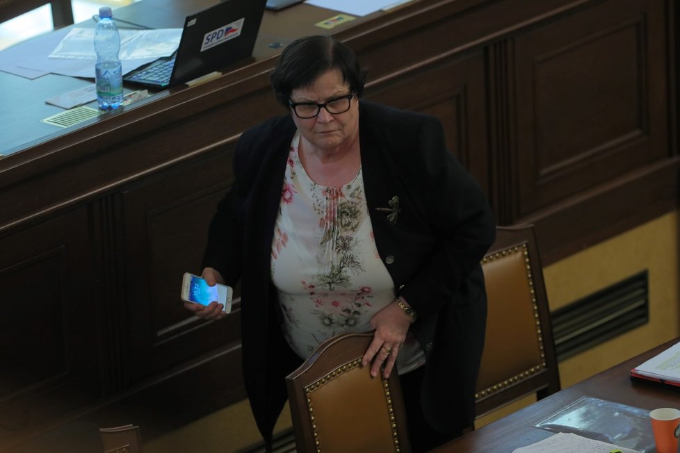 Marie Benešová v Poslanecké sněmovně