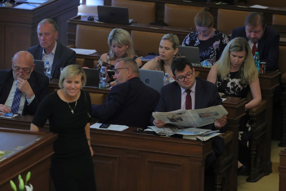 Čeští poslanci v Poslanecké sněmovně