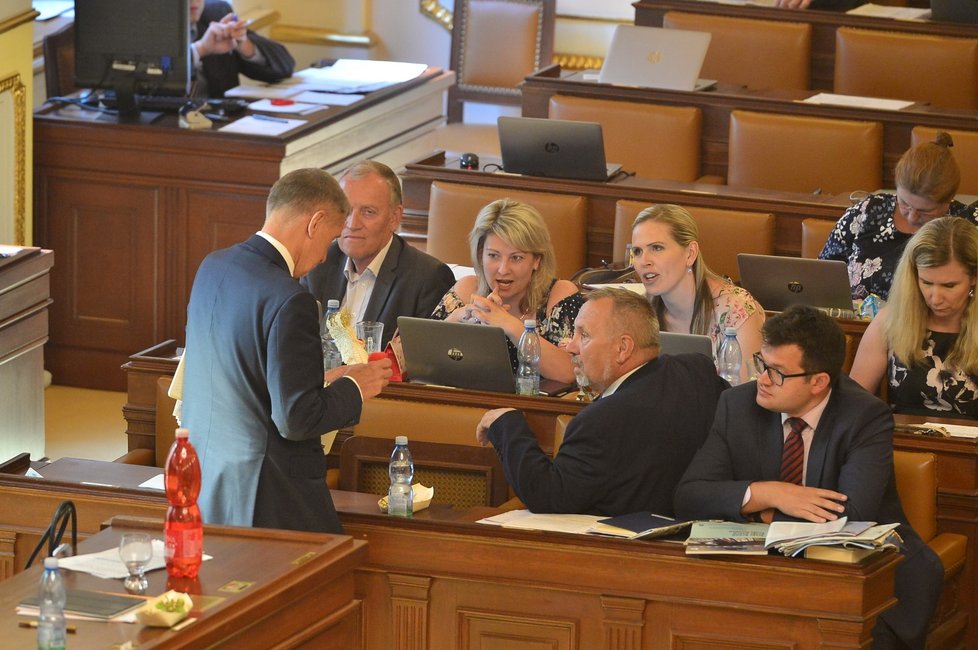 Poslanci v Poslanecké sněmovně (4. 6. 2019)