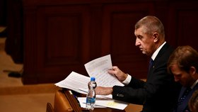 3. schůze Poslanecké sněmovny: Andrej Babiš